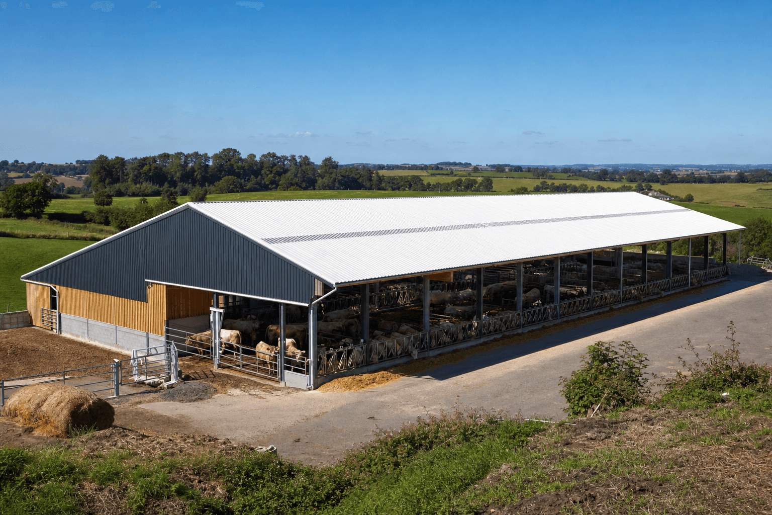 Agricultural building with white cool roof coating