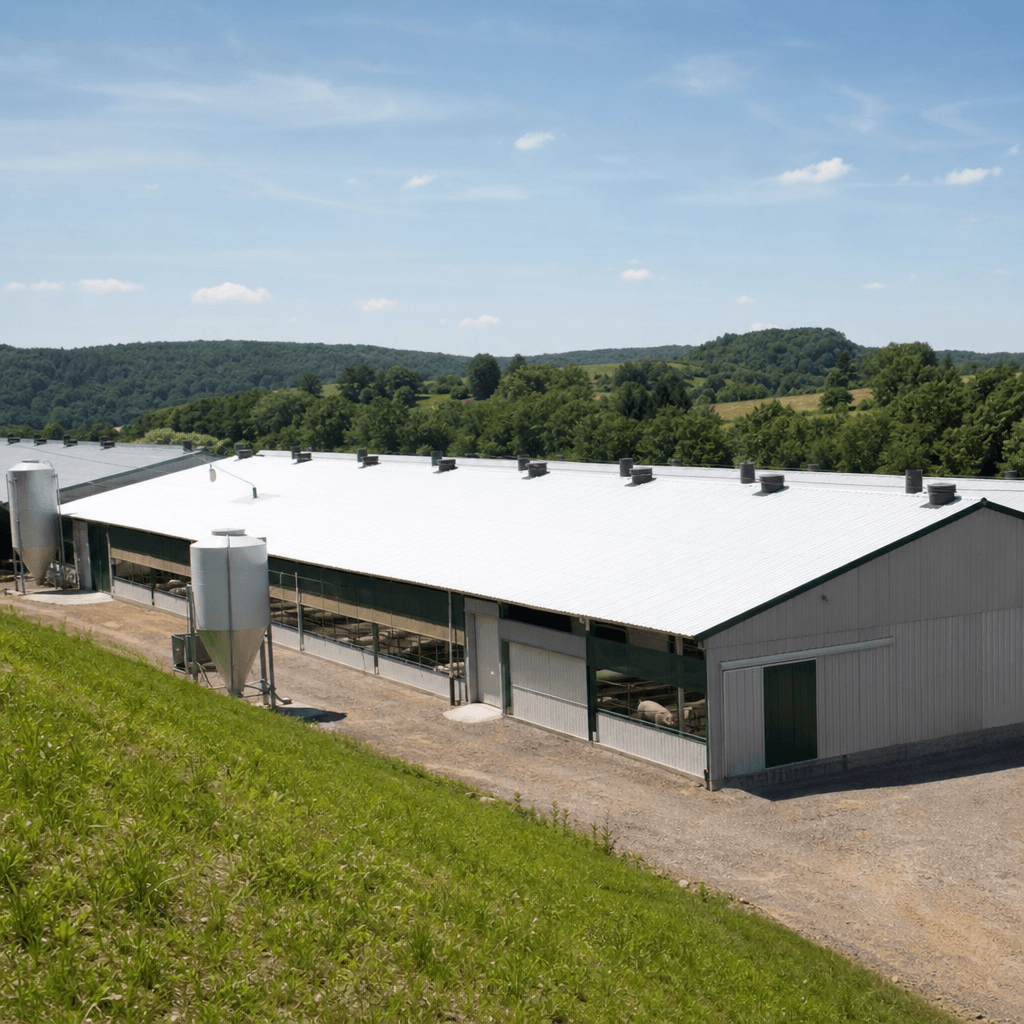Pig housing buildings
